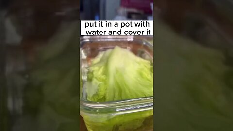 recovering the lettuce