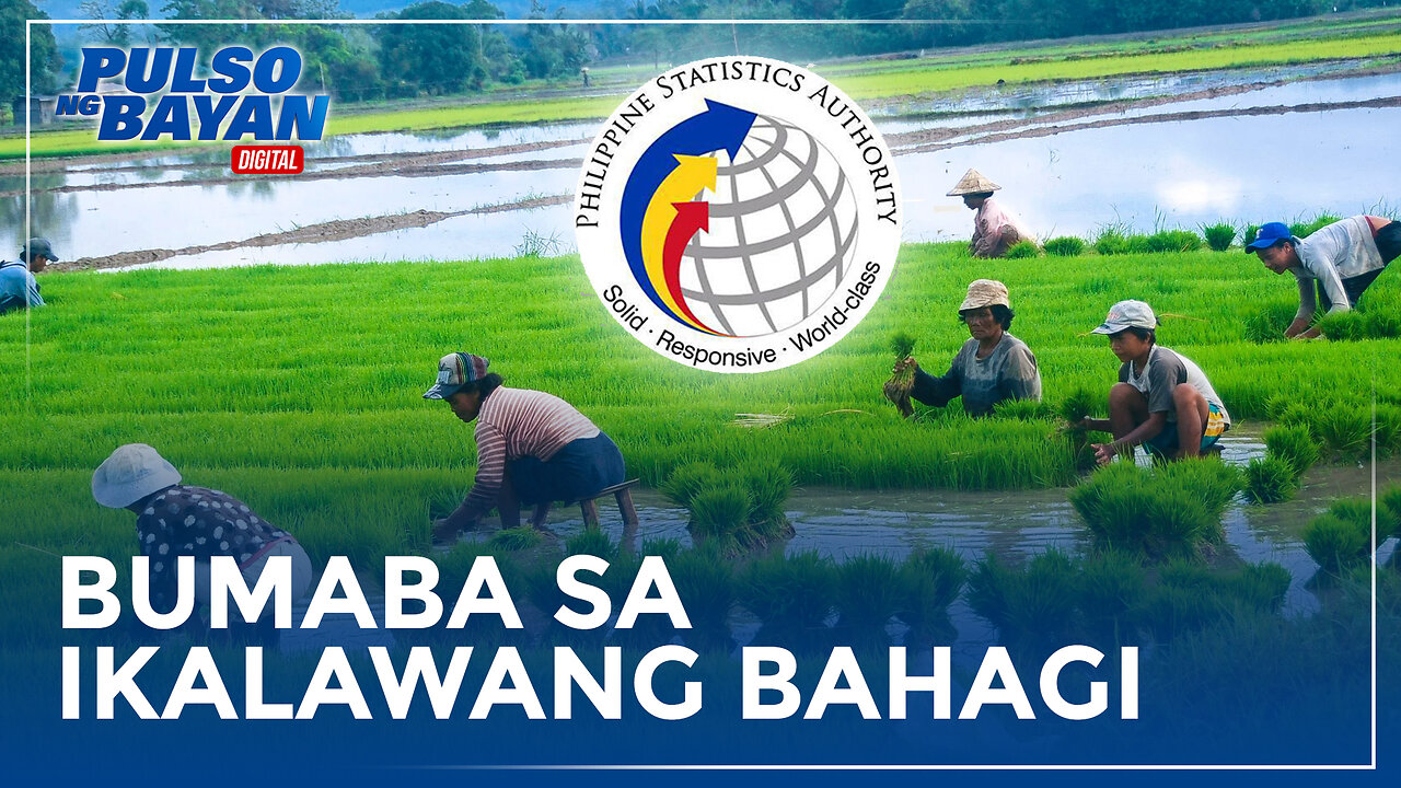 Produksyon ng agrikultura, bumaba sa ikalawang bahagi ng 2024 ─PSA