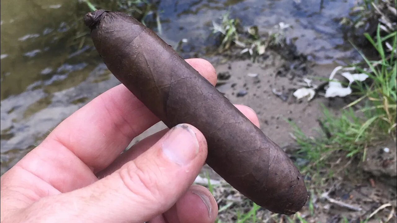 Arista Chubby Maduro