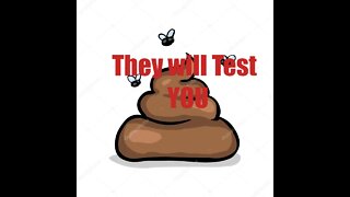 SHIT TESTS
