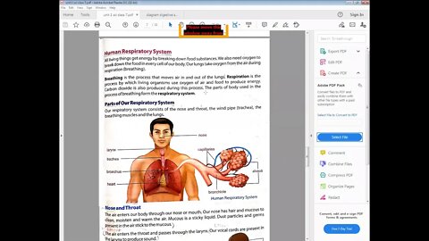 science clss 7 7 4 2021