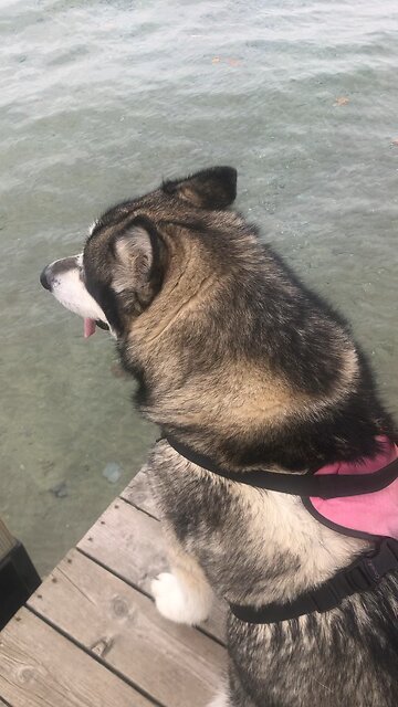 Wednesday Oct 30, By doing good, you should silence the ignorant talk of foolish people