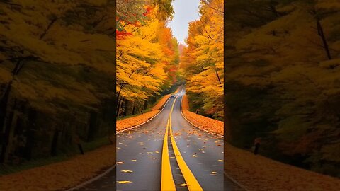 Autumn and long Drive#kamalkavlog #shorts #shortvideo #trending #viral #autumn