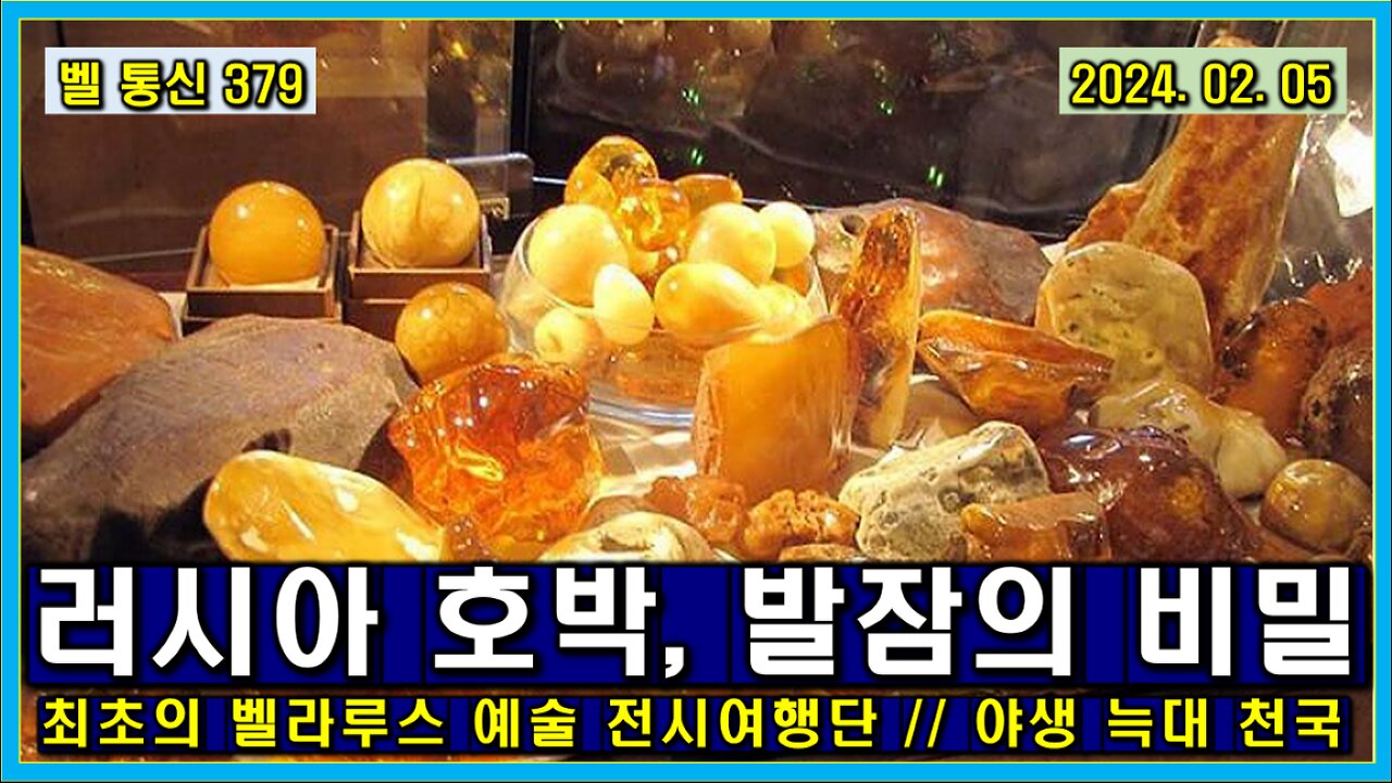 벨 통신 379, 러시아 호박, 발잠의 비밀 // 최초의 벨라루스 예술 전시 여행단 // 야생 늑대 천국의 러시아