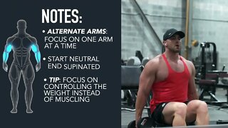 Seated Dumbbell Curl