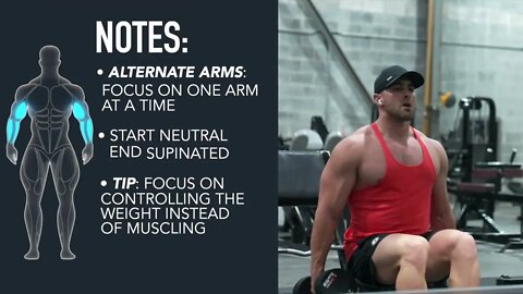 Seated Dumbbell Curl