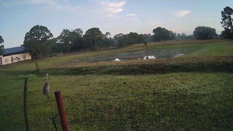 Sunrise At Venus Ranch.