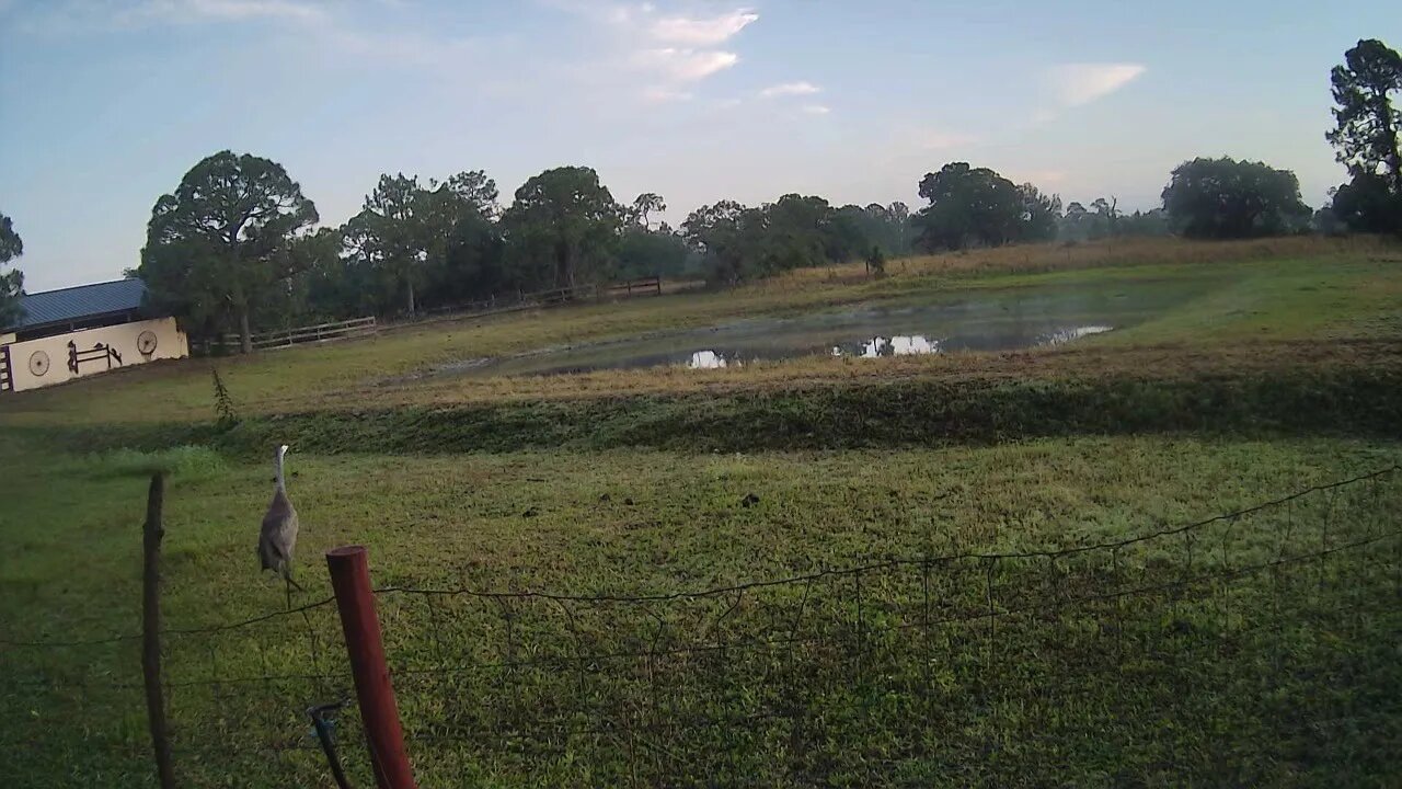 Sunrise At Venus Ranch.