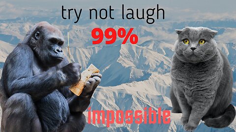 Try Not Laugh. 99% Impossible