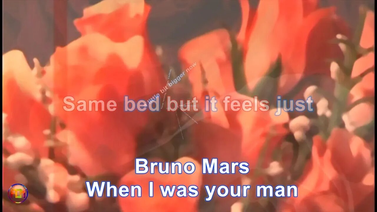 Bruno Mars - When I was your man - Lyrics