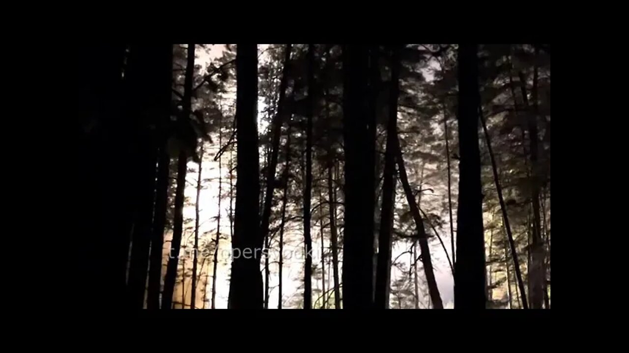 Russian "Hurricane" MLRS Heavy Fire Destroy Accumulations of Ukrainian Equipment & Manpower