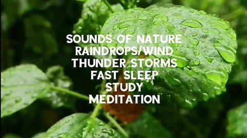 Relaxing Nature Sounds|Rain Drops|Thunder Storm|Lightning|Fast Sleep|Stress Relief|Study|Meditation.