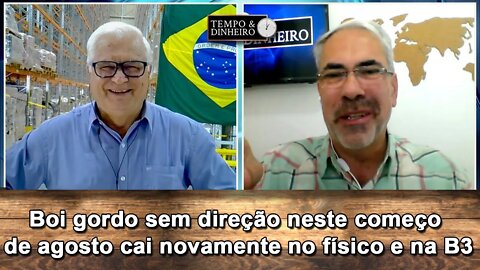 Boi gordo sem direção neste começo de agosto cai novamente no físico e na B3