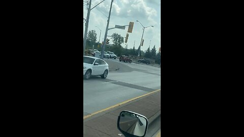 Vehicle Going Wrong Way On Road