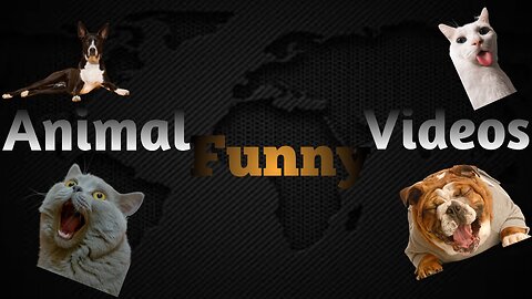 New Funny Animals 😂 Funniest Cats and Dog Videos 🐱🐶