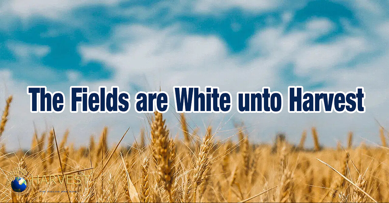 The fields are white unto harvest