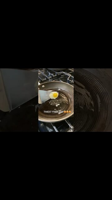 Tiniest Fried Egg Ever! #shorts #homestead #quaileggs