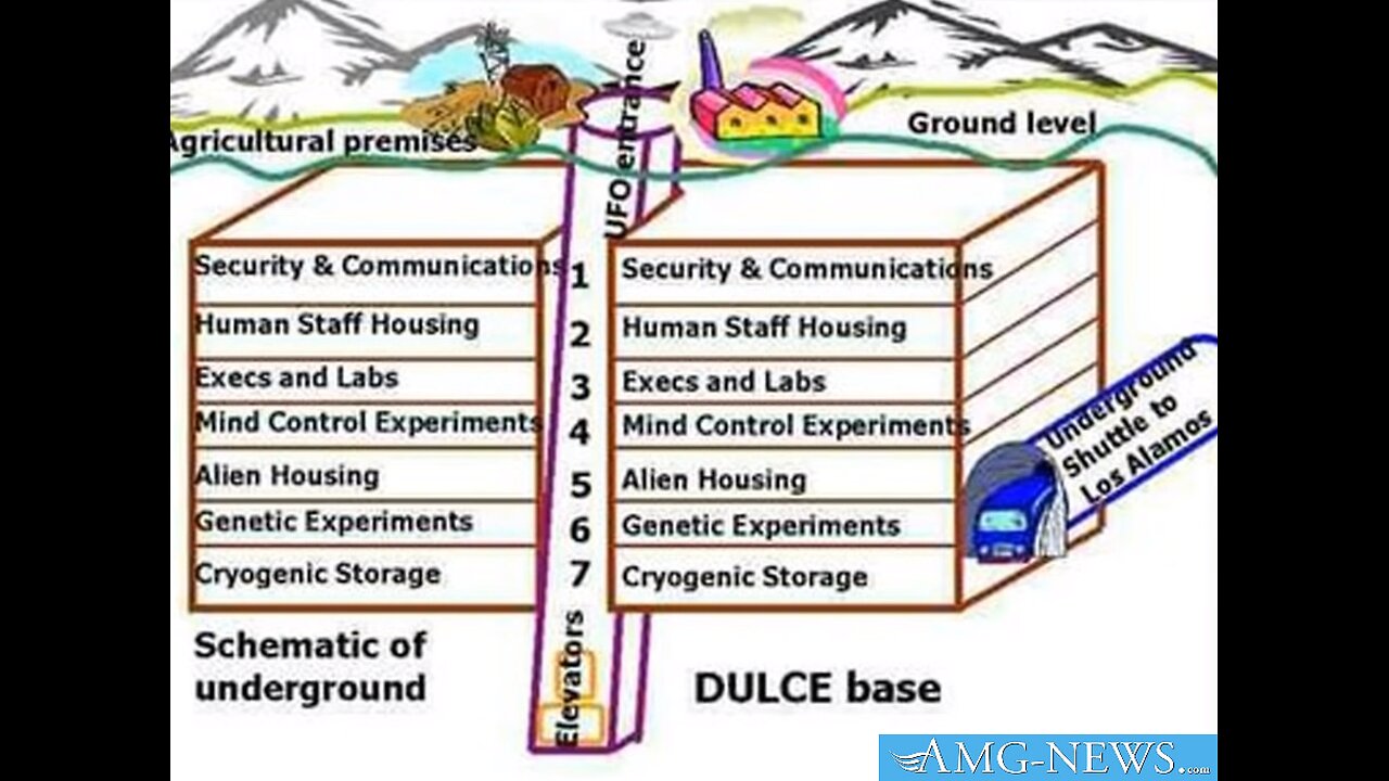 Everything You Wanted To Know About D.U.M.B.S.