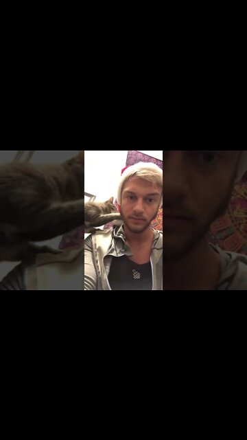 Cat playing with my hat