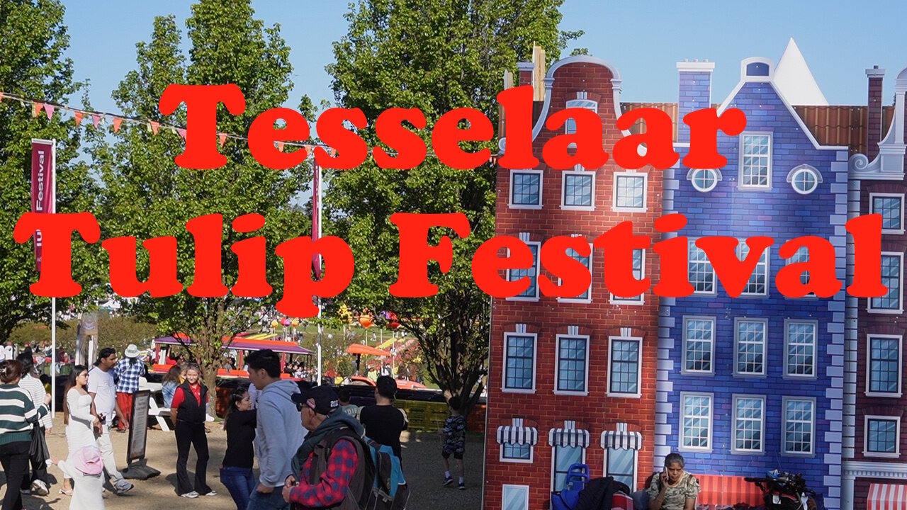 Tesselaar Tulip Festival