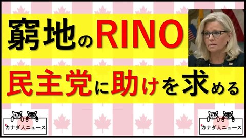 6.27 民主党と共闘するRINO