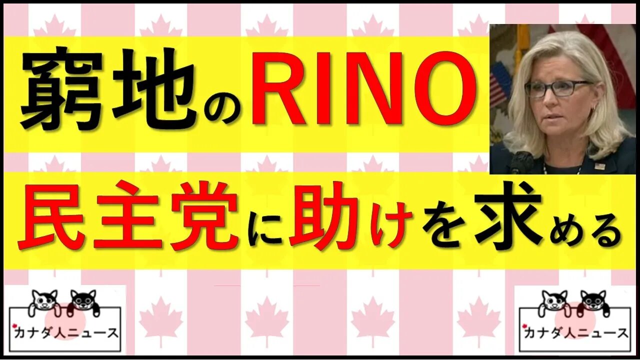 6.27 民主党と共闘するRINO