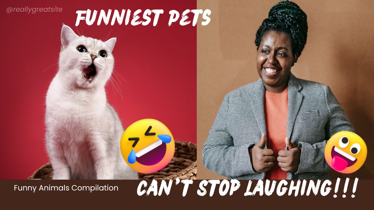 Can't Stop Laughing!!! - Funniest Pets Compilation Cats and Dogs