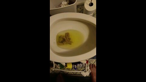 SWAMP CLEANSING AT LAST AND SCHUMER HEADED HOME TO MOMMY