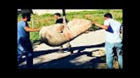 Man’s normal day at work takes unsuspected turn after unearthing 100 million year old artifact