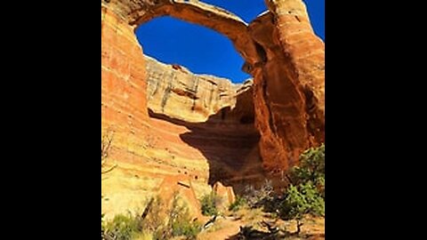 Where Should I Go? Grand Junction CO