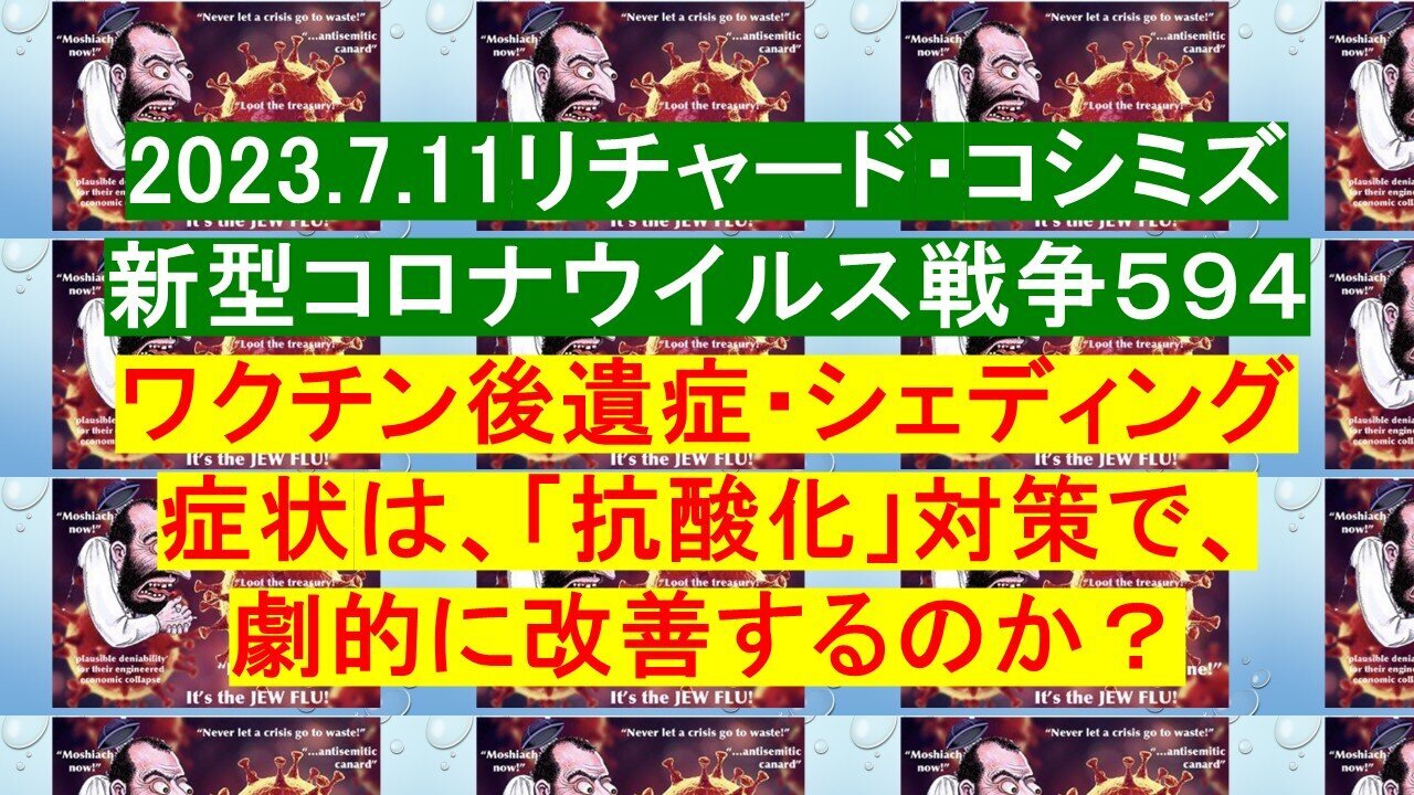 2023.07.11 リチャード・コシミズ新型コロナウイルス戦争５９４