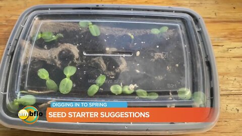 Digging into Spring with Lavocat's Family Greenhouse and Nursery