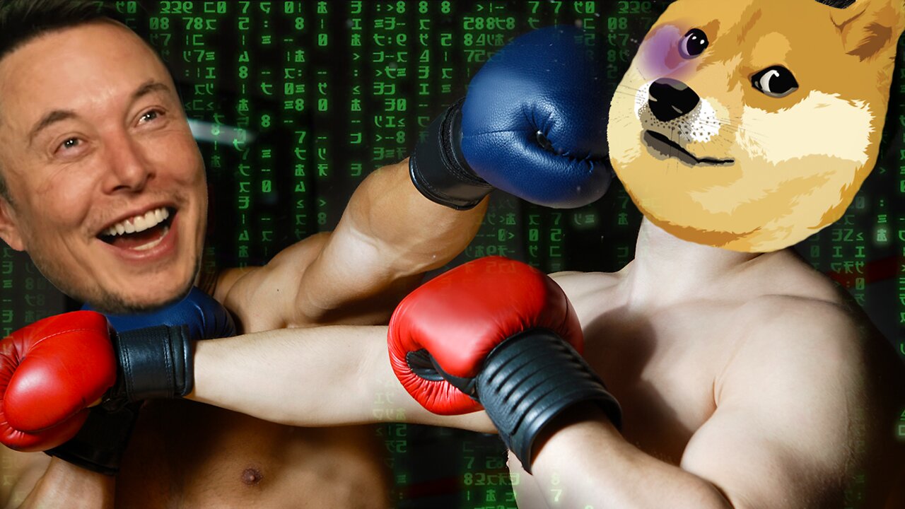 Elon Musk Clowns on The Creator of Dogecoin