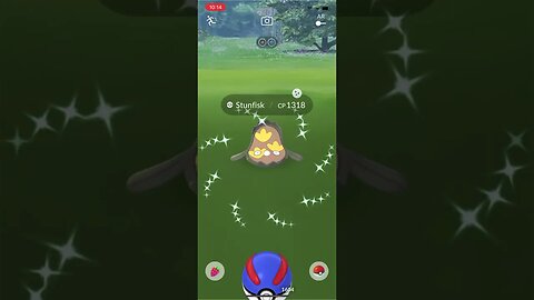 Shiny Compilation