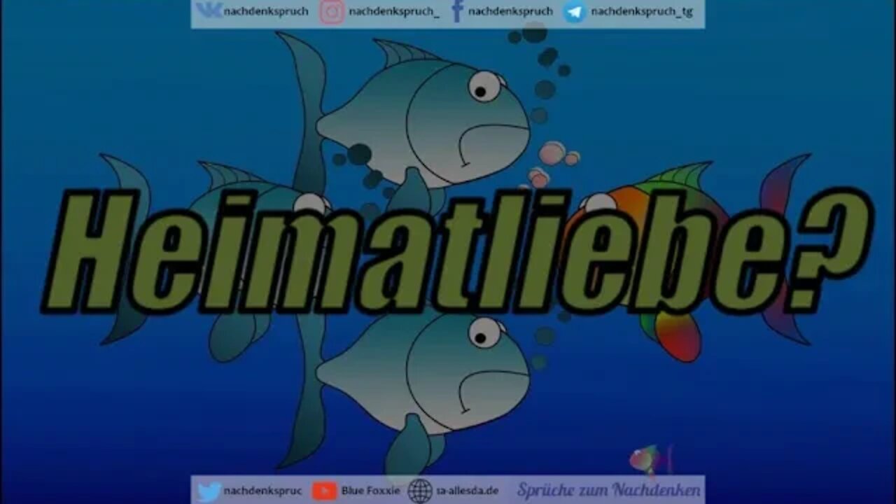 Jörg Meuthen zum Thema "Heimatliebe" im TV