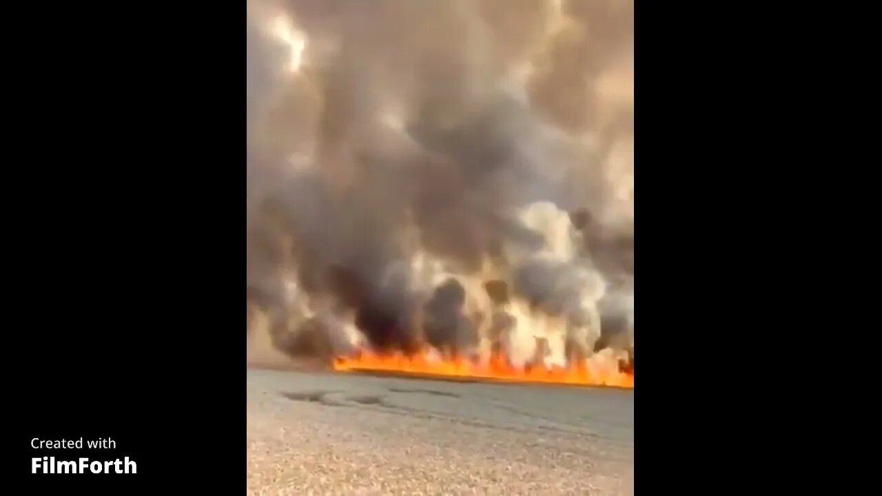 Mystery Fire Blazes as Crops Burn in Romania | Farms are being destroyed.