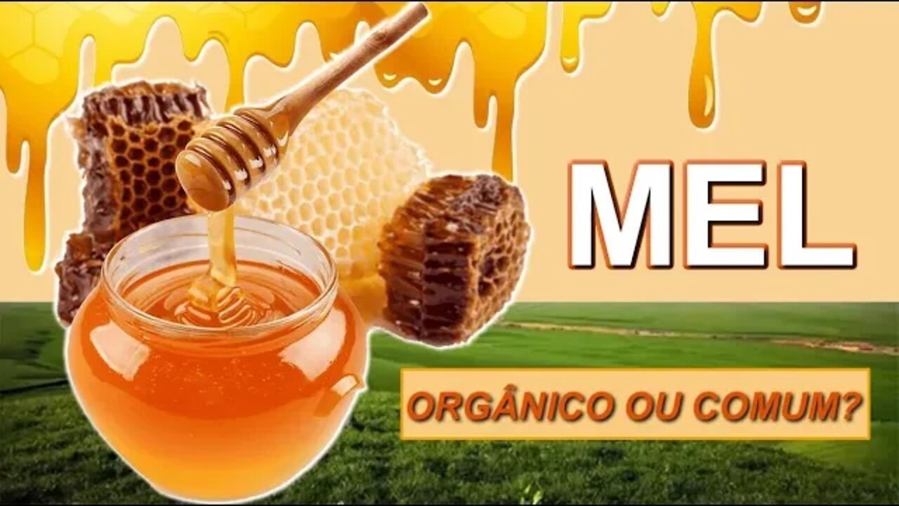 Benefícios e Diferenças do Mel Comum e Mel Orgânico