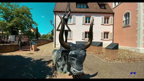 BREISACH Rheinaue Möhlin