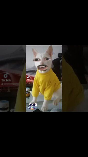 Arigatão!!! #shorts