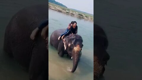 enjoying with elephant