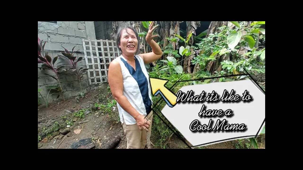 Saving Our Chili Tree (Sana Mabuhay pa)