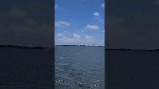 Charter fishing trip