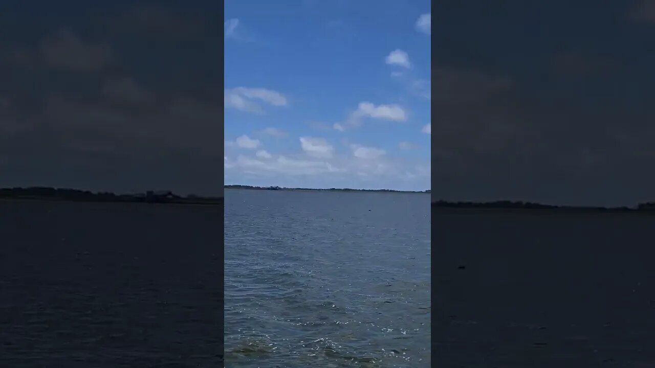 Charter fishing trip