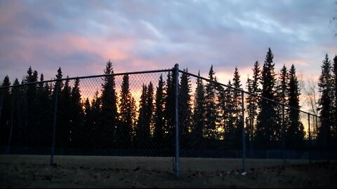 Season 2 , 18th hunt of 2012 at the Lions recreational area
