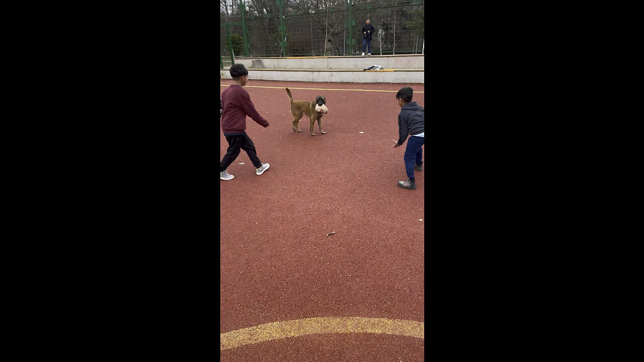 Tora and kids love bueatiful playing sunday