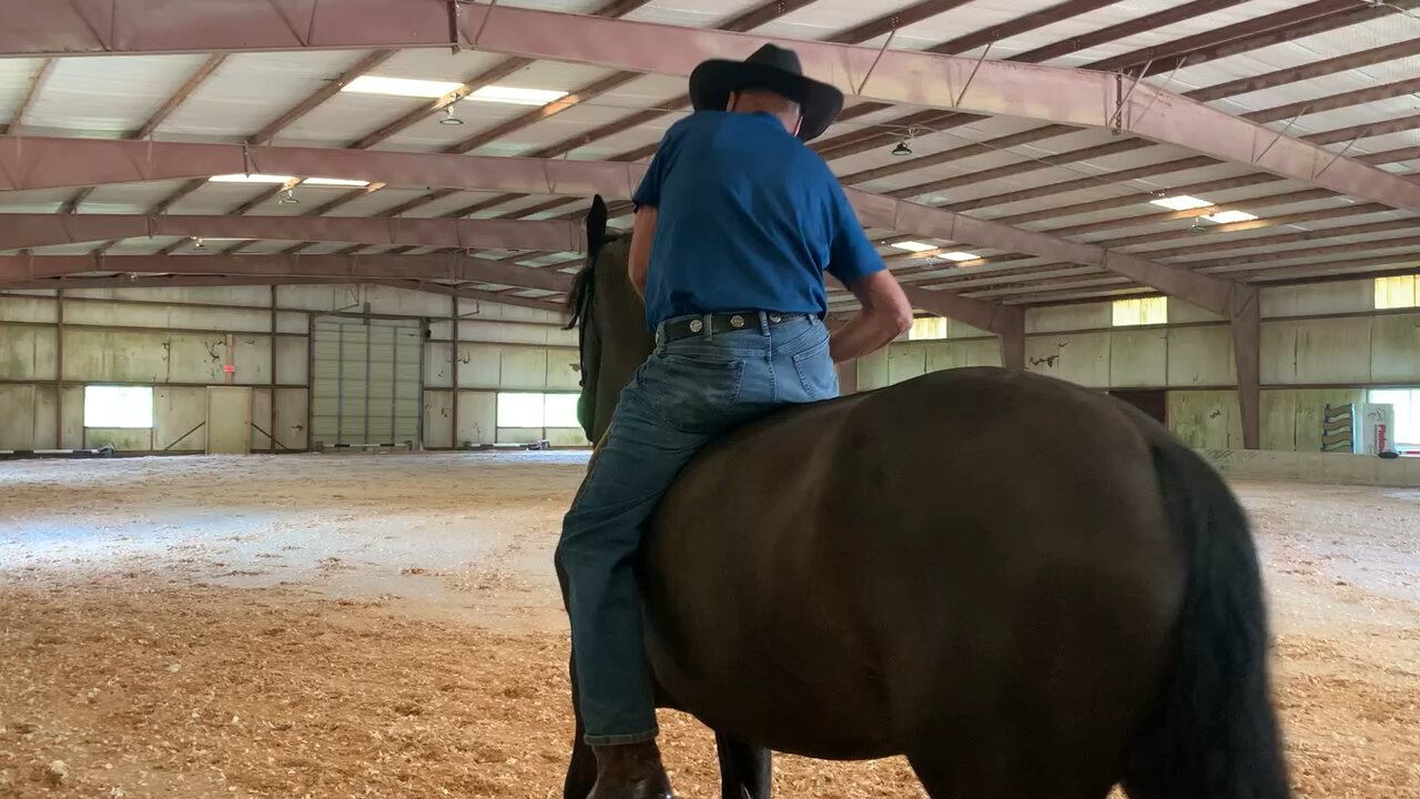 In case this didn’t go thru, Apollo’ first time no bridle or saddle and he was great and trusting.