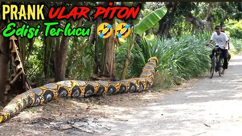 🤣🤣 Funny Video 🤣🤣 __ Python 🐍 Snake 🐍 Prank Makes Mess Up __ Original Makes You Laugh 😂 😂