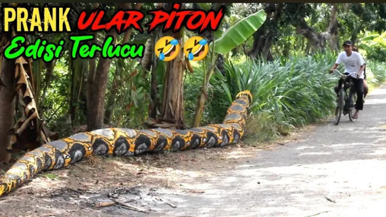 🤣🤣 Funny Video 🤣🤣 __ Python 🐍 Snake 🐍 Prank Makes Mess Up __ Original Makes You Laugh 😂 😂