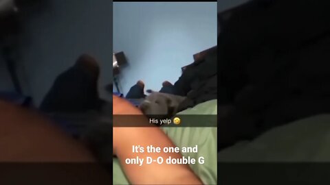 It's the one and only D-O double G #shorts