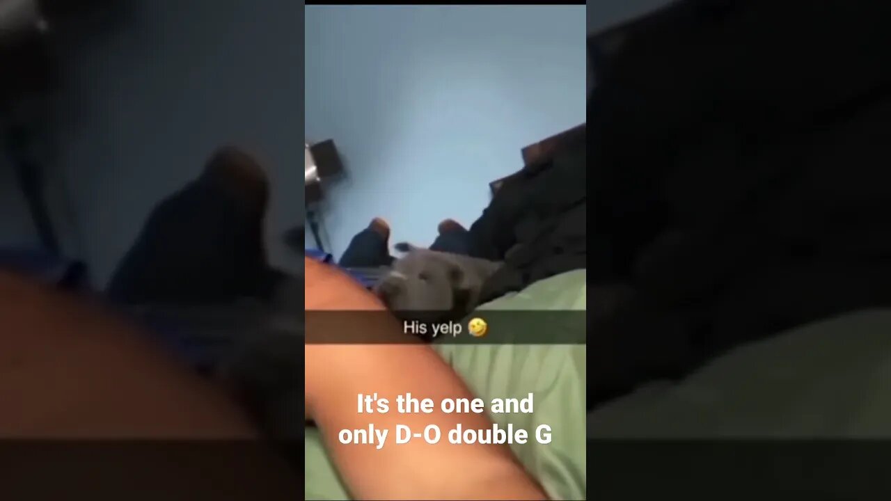 It's the one and only D-O double G #shorts